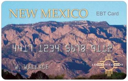 NM Ebt Card balance