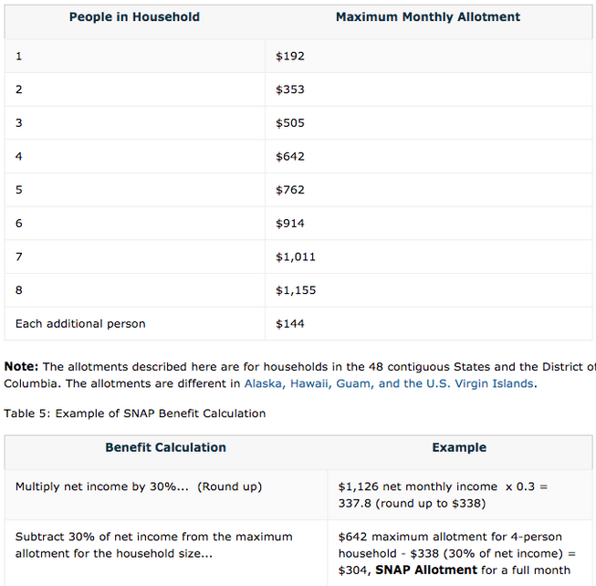 Georgia food stamps income limit