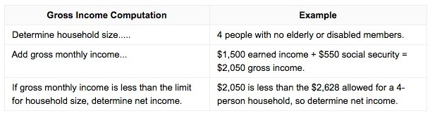 Georgia food stamps income limit